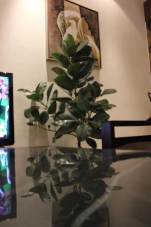 الرياض Ray Kady Hotel Apartment 1